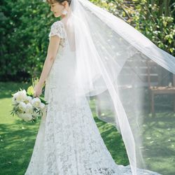 アコールハーブの写真1枚目