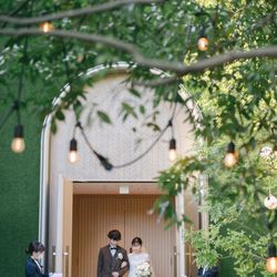 アコールハーブの写真30枚目