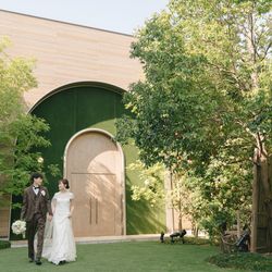 アコールハーブの写真23枚目