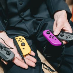 アコールハーブの写真11枚目