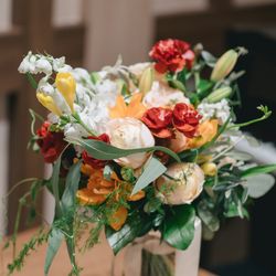 アコールハーブの写真11枚目