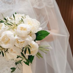 アコールハーブの写真36枚目