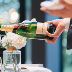 アコールハーブの写真5枚目