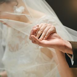 アコールハーブの写真11枚目