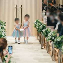 アコールハーブの写真7枚目