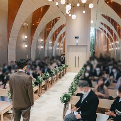 アコールハーブの写真6枚目