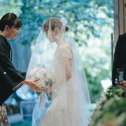 アコールハーブの写真8枚目