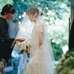 アコールハーブの写真14枚目