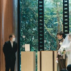 アコールハーブの写真5枚目