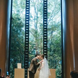 アコールハーブの写真5枚目