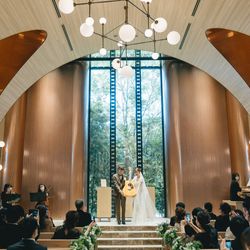 アコールハーブの写真15枚目