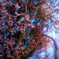 ザ・コンダーハウスの写真16枚目