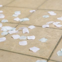 グランラセーレの森の写真30枚目