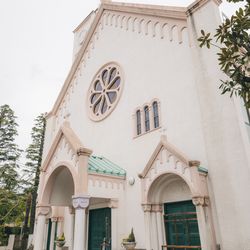 エネコ東京の写真14枚目
