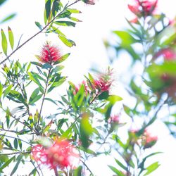 ノートルダム大阪ONEの写真32枚目