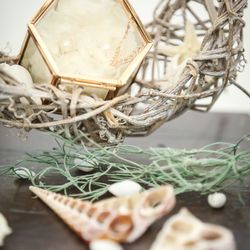 茅ヶ崎迎賓館の写真14枚目