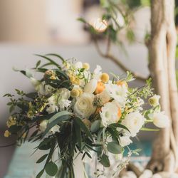 SOLA KOBEの写真24枚目