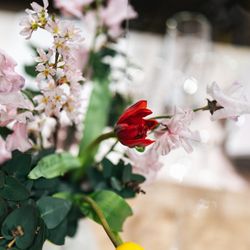 TOASTの写真16枚目