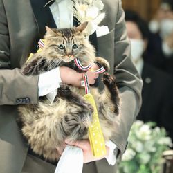 アーヴェリール迎賓館 名古屋の写真20枚目