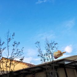 アンジェローブ の写真1枚目