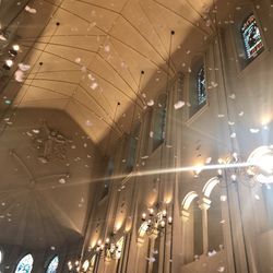 アンジェローブ の写真20枚目