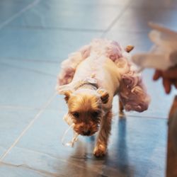 TRUNK HOTELの写真32枚目