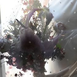 メゾン プルミエールの写真18枚目