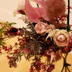 メゾン プルミエールの写真14枚目