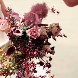 メゾン プルミエールの写真11枚目