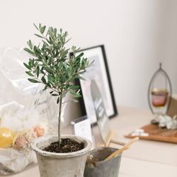 ザ・ガーデンオリエンタル大阪の写真4枚目