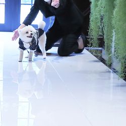 アーカンジェル迎賓館 宇都宮の写真29枚目