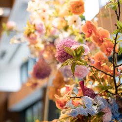 ザ・ガーデンオリエンタル大阪の写真6枚目