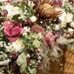 トリフォーリアNAGOYAの写真5枚目