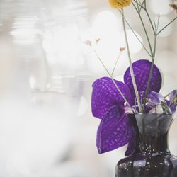 オーベルジュ・ド・リル サッポロの写真11枚目