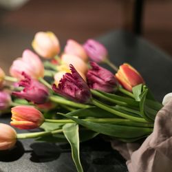 ザ ナンザンハウスの写真30枚目