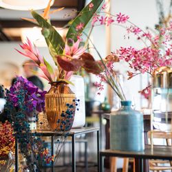 ザ ナンザンハウスの写真26枚目