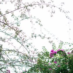 ウィズザスタイルフクオカ の写真25枚目