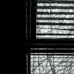 ウィズザスタイルフクオカ の写真9枚目