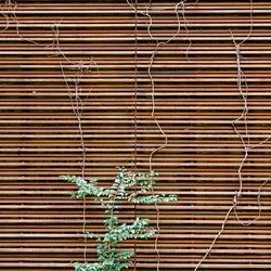 ウィズザスタイルフクオカ の写真24枚目