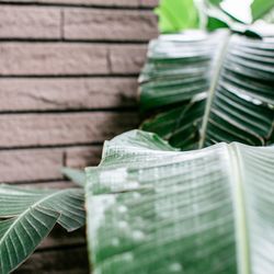 ウィズザスタイルフクオカ の写真23枚目