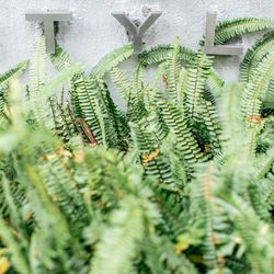 ウィズザスタイルフクオカ の写真30枚目