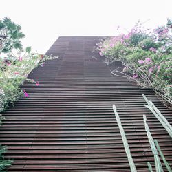 ウィズザスタイルフクオカ の写真33枚目