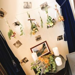 ザ・シーズンズの写真5枚目