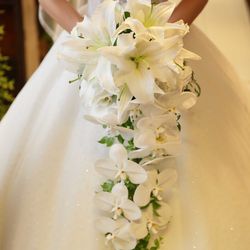 リビエラ東京の写真7枚目