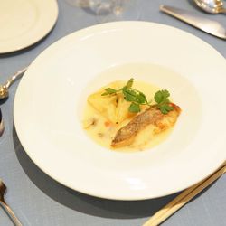 リビエラ東京の写真7枚目