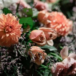 グランド ハイアット 東京の写真35枚目