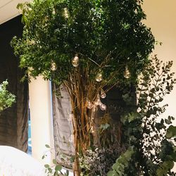 鶴見ノ森 迎賓館の写真12枚目