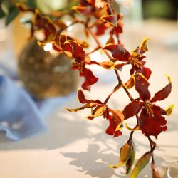 ザ ナンザンハウスの写真7枚目