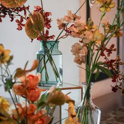 ザ ナンザンハウスの写真31枚目