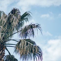 ザ・ミーツ マリーナテラスの写真4枚目